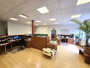 Pronájem výrobních prostor, Brno, Franzova, 785 m2