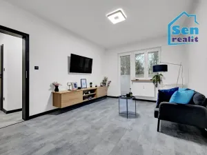 Pronájem bytu 1+1, Karviná, Školská, 38 m2