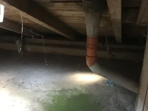 Prodej komerční nemovitosti, Křečhoř, 433 m2