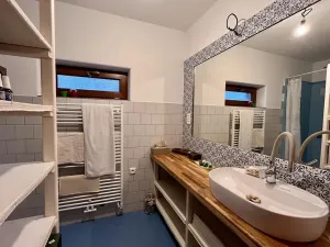 Prodej rodinného domu, Orlické Podhůří, 267 m2