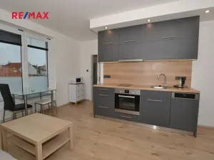 Pronájem bytu 1+kk, Plzeň, Na Roudné, 41 m2