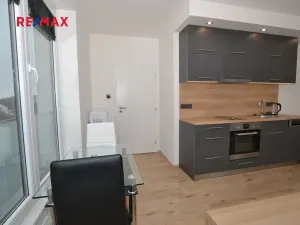 Pronájem bytu 1+kk, Plzeň, Na Roudné, 41 m2