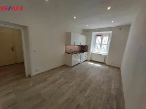 Pronájem bytu 1+kk, Praha - Bubeneč, dr. Zikmunda Wintra, 30 m2