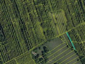 Prodej louky, Kněždub, 6886 m2