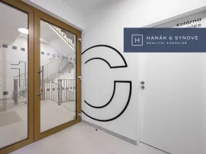 Pronájem bytu 1+kk, Brno, Cejl, 36 m2