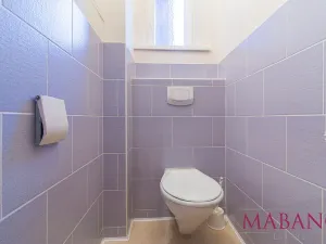 Pronájem bytu, Praha - Žižkov, Sudoměřská, 17 m2