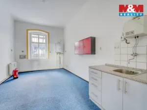 Pronájem obchodního prostoru, Plzeň - Východní Předměstí, Koterovská, 57 m2