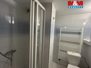 Pronájem bytu 1+1, Louny - Nečichy, 43 m2