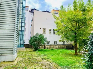 Pronájem bytu 2+1, Praha - Žižkov, Lucemburská, 68 m2
