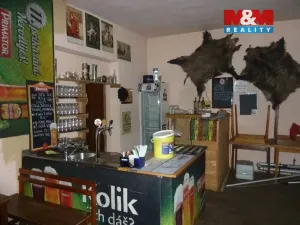 Prodej rodinného domu, Česká Čermná, 450 m2