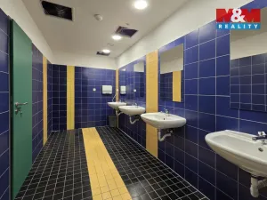 Pronájem kanceláře, Karlovy Vary - Rybáře, Sedlecká, 374 m2