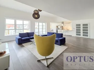 Pronájem bytu 6+kk a větší, Praha - Staré Město, Dušní, 218 m2