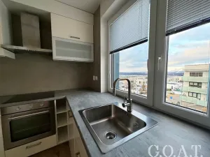 Pronájem bytu 1+kk, Plzeň, Vysoká, 38 m2