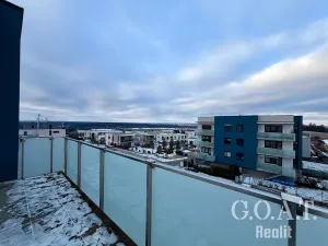 Pronájem bytu 1+kk, Plzeň, Vysoká, 38 m2