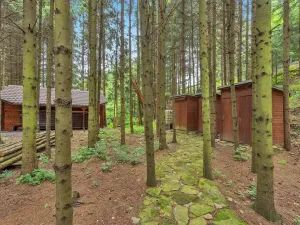 Prodej chalupy, Sudslava, 80 m2