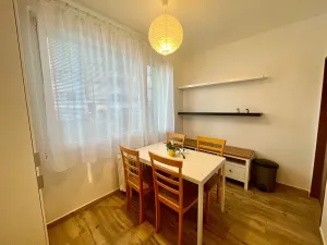 Pronájem bytu 1+1, Čížkovice, Na sídlišti, 41 m2