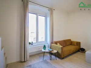 Pronájem bytu 1+kk, Brno, Koliště, 27 m2