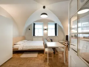 Pronájem bytu 1+kk, Jihlava, Havířská, 33 m2