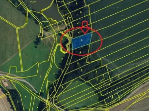 Prodej lesa, Otinoves, 1464 m2