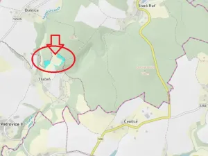 Prodej lesa, Petrovice II, 11117 m2