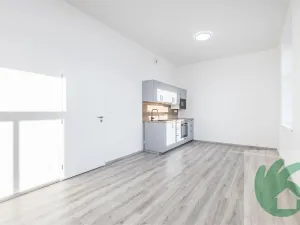 Pronájem bytu 1+kk, Kralupy nad Vltavou, S. K. Neumanna, 38 m2