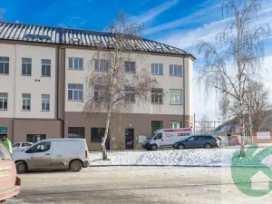 Pronájem bytu 1+kk, Kralupy nad Vltavou, S. K. Neumanna, 38 m2