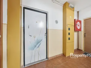 Pronájem bytu 1+1, Ústí nad Labem - Neštěmice, Seifertova, 35 m2