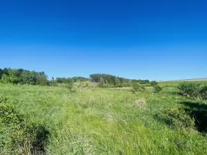 Prodej pozemku pro bydlení, Radnice, Puchmajerova, 850 m2