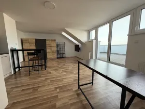 Pronájem bytu 1+kk, Brno, Táborská, 48 m2