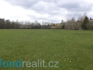 Prodej pole, Tachov, 69579 m2