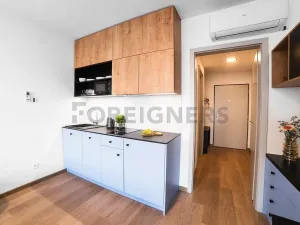 Pronájem bytu 1+kk, Olomouc, Edmunda Husserla, 29 m2