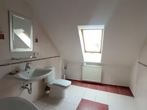 Pronájem bytu 4+kk, Teplice, Svatopluka Čecha, 210 m2