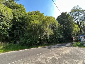 Dražba pozemku, Krompach, 21972 m2