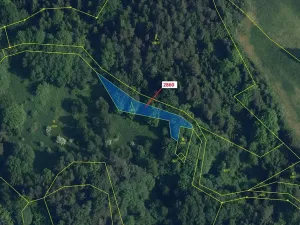 Dražba lesa, Český Dub, 662 m2