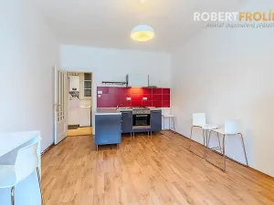 Pronájem bytu 1+1, Praha - Bubeneč, V. P. Čkalova, 55 m2