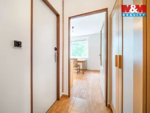 Pronájem bytu 1+1, Praskolesy, 30 m2