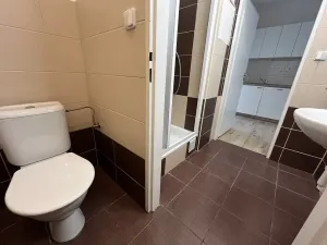 Prodej bytu 2+kk, Brno, Stará, 68 m2