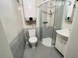 Pronájem bytu 1+1, Lipno nad Vltavou, 29 m2