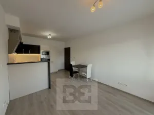 Pronájem bytu 2+kk, České Budějovice, Husova tř., 53 m2