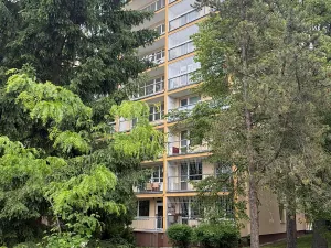 Pronájem bytu 2+kk, Praha - Střížkov, K lipám, 42 m2