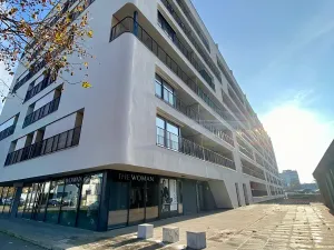 Prodej bytu 2+1, Brno, U Červeného mlýna, 56 m2