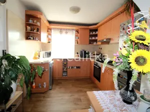 Prodej rodinného domu, Darkovice, Údolní, 180 m2