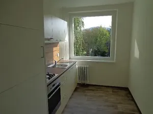 Pronájem bytu 3+1, Ústí nad Labem, Dr. Horákové, 90 m2