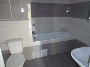 Pronájem bytu 3+1, Ústí nad Labem, Dr. Horákové, 90 m2