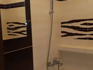 Pronájem bytu 2+1, Ostrava, Dr. Martínka, 53 m2