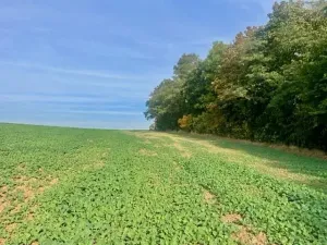 Prodej pole, Praha - Liboc, Na Padesátníku I, 24066 m2