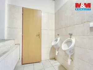 Pronájem obchodního prostoru, Plzeň - Východní Předměstí, Slovanská, 100 m2