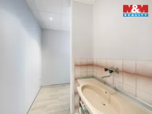 Prodej atypického bytu, Březová, Smetanova, 177 m2