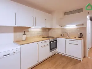 Pronájem bytu 1+1, Brno, Závětří, 38 m2