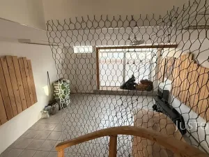 Pronájem kanceláře, Děčín, Prokopa Holého, 56 m2